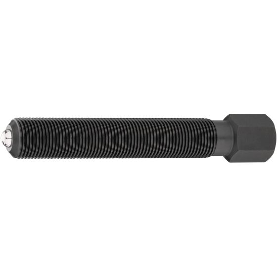 Druckspindel